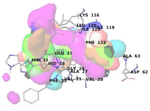 JCIM | 多种虚拟筛选技术组合发现新型5-脂氧合酶激活蛋白抑制剂