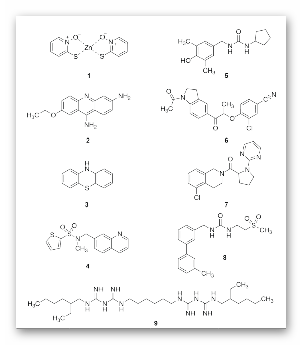 Nature Communications丨理性设计抗卡波氏肉瘤vFLIP-NEMO蛋白-蛋白相互作用抑制剂