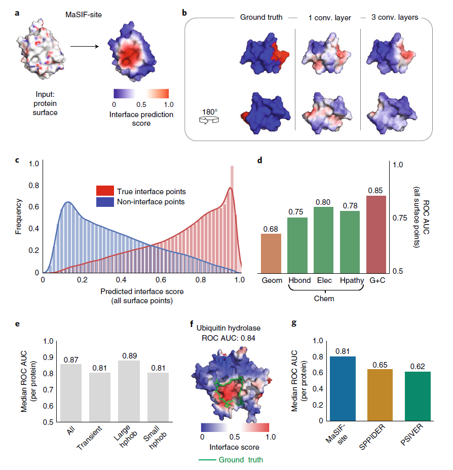 Nature Methods | 基于几何深度学习的蛋白表面相互作用指纹及其应用