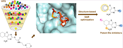 ACS Chem. Biol. | 结核分枝杆菌乙酰转移酶Eis抑制剂的结构导向优化