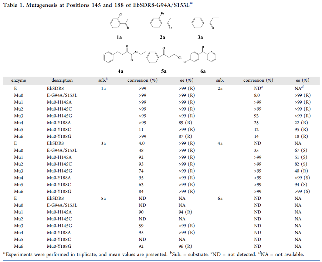 ACS Catalysis | 基于分子动力学模拟的脱氢/还原酶的理性设计