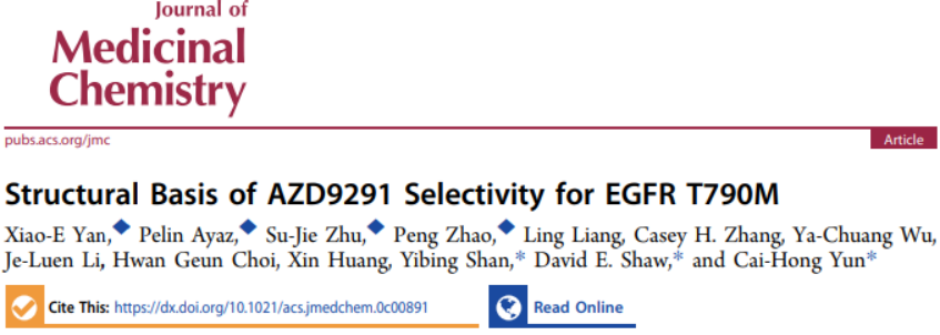 JMC | DE Shaw与北京大学通过MD模拟揭示EGFR抑制剂奥西替尼的选择性机制