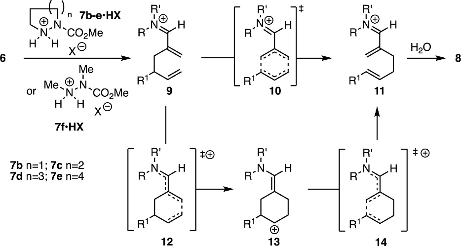 JACS | 环越大催化效率越高？计算加实验研究Cope重排反应机制