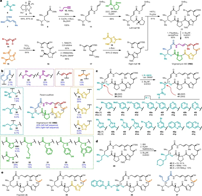 Nature | 理性药物设计发现新型抗耐药A型链阳菌类抗生素